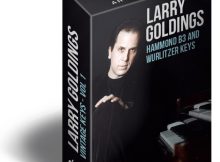Download Larry Goldings Vintage Keys Hammond B3 Organ Loops